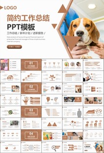 宠物行业医院美容宠物店ppt