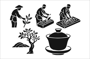 传统制茶工艺场景图
