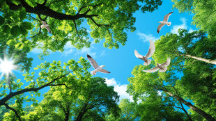 蓝天白云森林吊顶