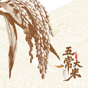复古稻穗插画
