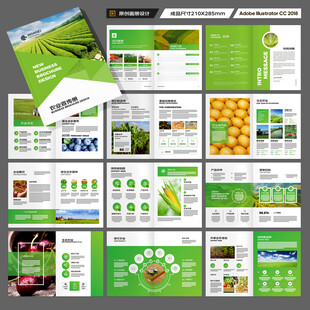 农产品宣传册