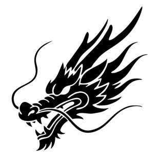 霸气黑龙头部图案设计