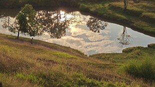 夕阳下的静谧湖畔风光