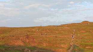 黄昏下的徒步者与原野