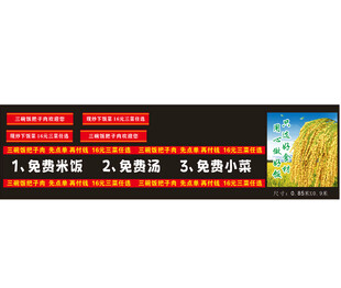 水稻 种植要点展示