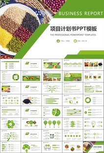 农产品生态农业农村电商ppt