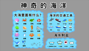 幼儿常识海洋生物科普展示插画