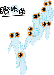 透明怪眼鱼群特写 大眼鱼