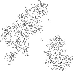 手绘花卉线条图