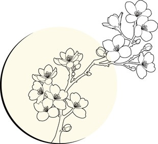 手绘简约樱花枝线条图 红梅