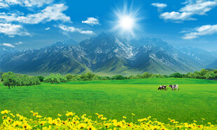 蓝天白云大草原