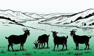 矢量黑山羊牧场农场