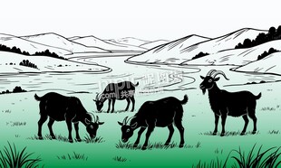 手绘山羊黑羊草地牧场