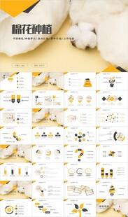 棉花棉纺纺织PPT