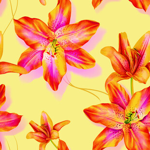 绚丽多彩花卉图案背景