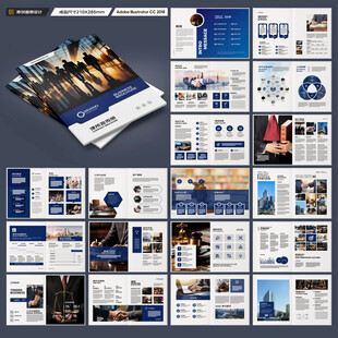 大气律师事务所画册