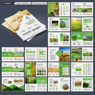 农产品画册