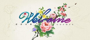 欢迎迎宾接待展板