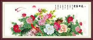 富贵花开牡丹花