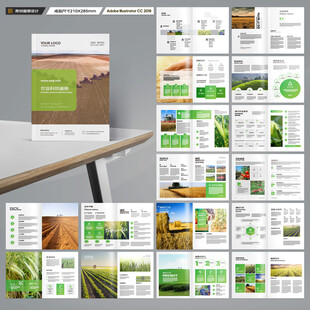 农产品宣传册