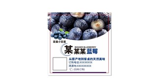 蓝莓包装盒展示