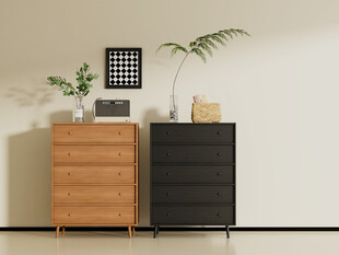 简约风木质与黑色储物柜