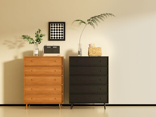 简约风木质与黑色储物柜