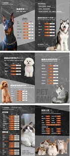 多款宠物服饰展示