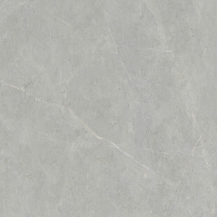 新传 高端简奢石纹 高清大图 