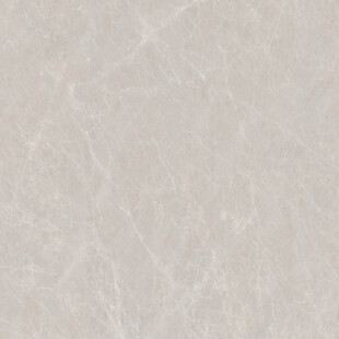 客厅 奢华轻奢纹理 高清大图 