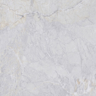 新传 大理石奢华纹 高雅大图 