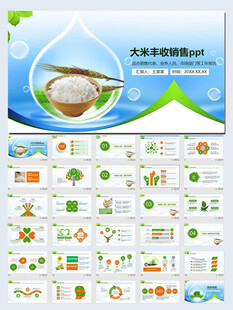 稻田水稻大米农业丰收PPT模板