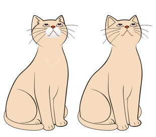 两只坐姿相同的米色猫咪