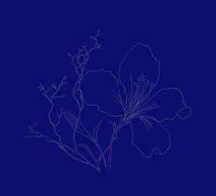 原创分层手绘百合花图案