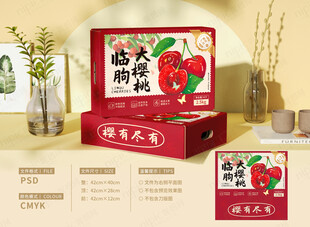 樱桃车厘子包装