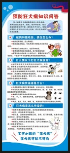 世界狂犬病日展架