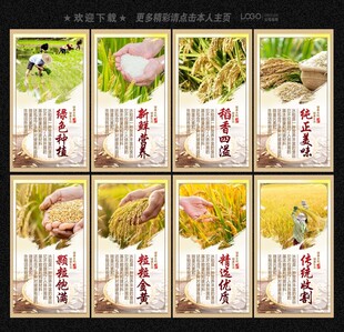 水稻