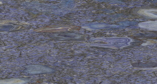 奢雅 清晰轻奢石纹 高档大图 