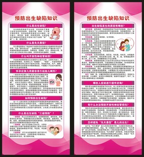 预防出生缺陷日展架
