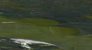 奢华 简奢最新石纹 高端大图 