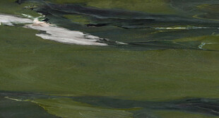 现代 轻奢极简石纹 高端大图 