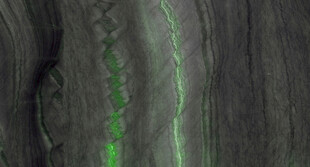 奢雅 爆款奢华石纹 高清大图 