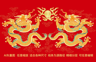 双龙戏珠金龙纹升龙彩龙线描龙
