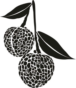 手绘荔枝果实与叶片