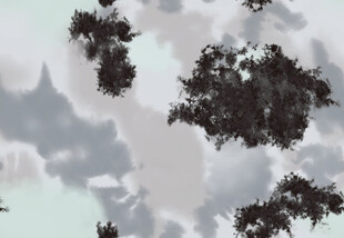 树梢上的云朵美景