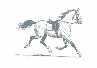 奔跑的骏马