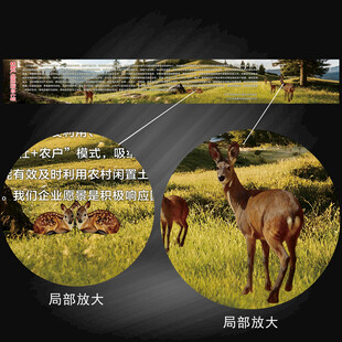 麝 林麝项目介绍