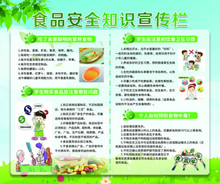 食品安全知识宣传栏海报