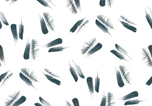 羽毛图案背景纹理设计