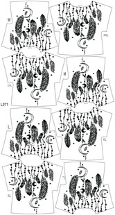 手绘风格生日快乐艺术字